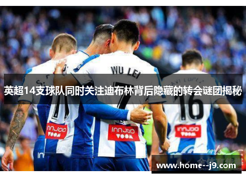 英超14支球队同时关注迪布林背后隐藏的转会谜团揭秘