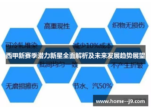 西甲新赛季潜力新星全面解析及未来发展趋势展望