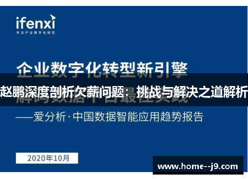 赵鹏深度剖析欠薪问题：挑战与解决之道解析