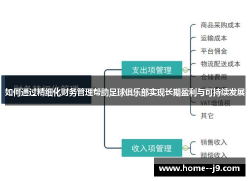 如何通过精细化财务管理帮助足球俱乐部实现长期盈利与可持续发展